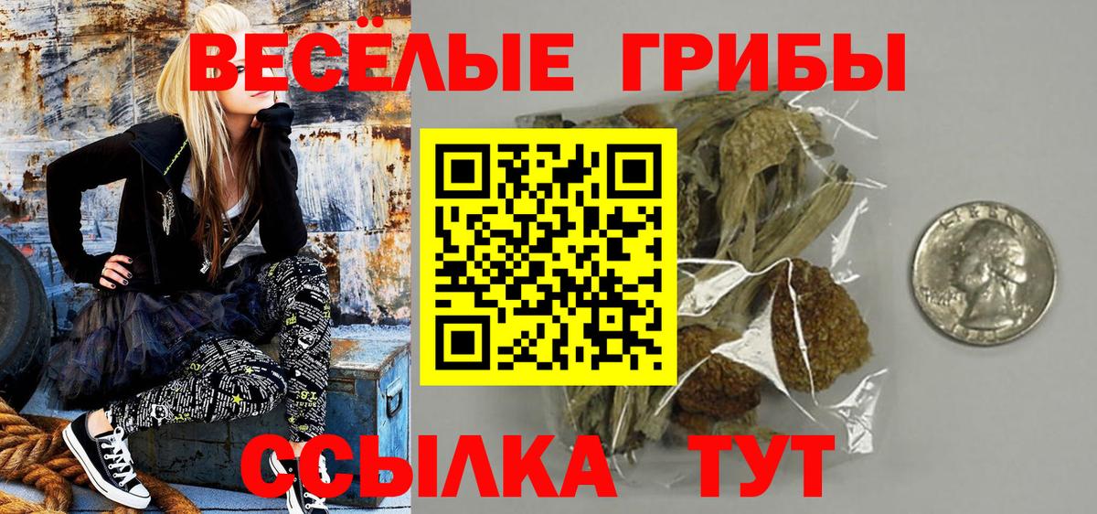 магазин продажи наркотиков  Вход с VPN  Севастополь  Псилоцибиновые грибы Psilocybe 